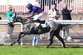 Arrivée du quinté du mardi 7 octobre à Auteuil : Grey Fighter déjoue les pronostics