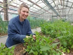 « Il y a une satisfaction à voir pousser ce qu’on a planté » : à Guyancourt, les jardins du cœur leur redonnent goût au travail
