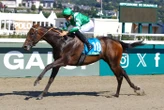 Arrivée du quinté du dimanche 24 août à Deauville : la balade de Colgan Senora