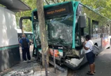 Paris : un chauffeur de bus fait un malaise au volant et percute un arbre Porte de Saint-Cloud