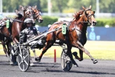 Arrivée du quinté du dimanche 21 juin à Paris-Vincennes : Louis Vitton Mijo, sur son 31
