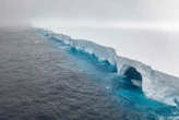 « L’eau est bien trop chaude pour qu’il survive » : A23a, l’un des plus grands icebergs du monde, pourrait bientôt disparaître