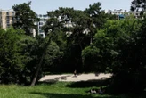 Fortes chaleurs à Paris : Buttes-Chaumont, Montsouris… certains parcs ouverts jusqu’à minuit