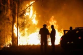 Incendies en Europe : accalmie en Espagne, le Portugal lutte toujours contre sept méga feux