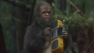 « Primitifs » sur Paramount + : au poil, cette comédie d’une originalité folle !