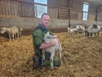 « Ceux qui veulent du loup veulent de l’élevage intensif » : en Haute-Marne, l’abattage d’un prédateur ne calme pas l’inquiétude des éleveurs