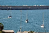 Flottille pour Gaza : le dernier bateau non intercepté poursuit sa route vers l’enclave palestinienne