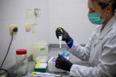 DIRECT. Hantavirus : un patient américain testé négatif, six Britanniques cas contacts placés à l'isolement
