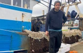 « Pour l’instant, on a été gentil... » : au Havre, la flambée du gazole met les pêcheurs dans le rouge, la tension monte