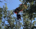 Son « premier et dernier » saut en parachute tourne mal : son instructeur se détache et meurt, l’élève retrouvé pendu à un arbre à Nashville