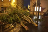 Accident de quad, chute d’arbre : ce que l’on sait des deux victimes mortes pendant les orages
