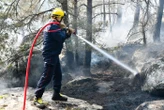 « Aller fort et vite, c’est la stratégie des pompiers » : déjà le deuxième feu de l’année en forêt de Fontainebleau