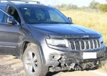 Il prétend que sa femme est morte après un accident avec un kangourou : un homme accusé de meurtre en Australie