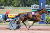 Arrivée du quinté du samedi 11 juillet à Enghien : seul favori à répondre présent, King d’Hermès domine des outsiders