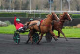 PMU - Arrivée du quinté du mercredi 11 décembre à Paris-Vincennes : Great Tigress adore la vitesse