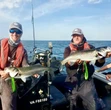 Les pêcheurs de bars à la fête dans le Finistère