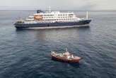 Hantavirus : un passager de la croisière infecté par la souche des Andes, transmissible entre humains