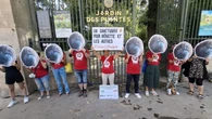 Paris : ils veulent faire libérer Nénette, orang-outan captive depuis 53 ans au Jardin des plantes