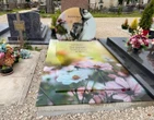 « Il a été mon seul ami » : dans le Jura, il se bat pour inscrire le nom de son chien sur sa tombe