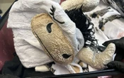 Pyjama vache et méthamphétamine : un voyageur arrêté aux États-Unis pour avoir imbibé ses vêtements de drogue