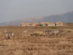 « Choc et tristesse » : deux touristes en safari retrouvés morts dans un célèbre parc d’Afrique du Sud