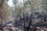 Important incendie en cours à la limite de l’Aude et de l’Hérault : des centaines de pompiers mobilisés, plus de 500 ha parcourus