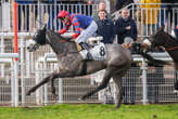 Arrivée du quinté du samedi 15 février à Auteuil : Just In Time Blue ne manque pas la rentrée des classes