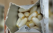 Il avait ingéré 141 sachets de cocaïne : un Français de 19 ans arrêté à Saint-Domingue pour trafic de drogue