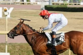 Arrivée du quinté du mardi 15 juillet à Vichy : Stolen Kiss repousse ses limites
