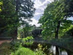 Arboretum de Chatenay : comment l’« eldorado des arbres » s’adapte au changement climatique