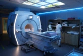 Des cochons prioritaires sur les malades du cancer à Strasbourg ?