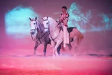 « J’ai dû vendre 2 chevaux ! » Dans l’Aube, le Théâtre Équestre de Champagne en appelle au soutien du public