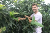2 000 variétés de plantes, 600 disponibles en greffons : ce pépiniériste fait pousser des fruits exotiques près de Toulouse