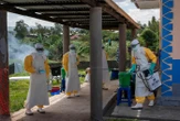 « L’épidémie progresse rapidement » : l’OMS annonce près de 500 cas d’infection au virus Ebola en Afrique centrale