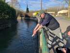 « Ça devrait frétiller » : trois ans après la « pollution du siècle », les poissons fuient toujours ce cours d’eau de l’Oise