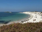 Finistère : des propriétaires de chiens réclament le droit de les promener toute l’année sur les plages de Cornouaille