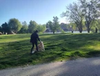 À Toulouse, les Truffes roses veulent pouvoir lâcher leurs chiens dans les parcs