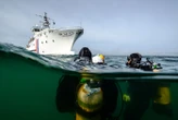 150 épaves vestiges du Débarquement en Normandie toujours sous la mer : « Ces navires ont souvent coulé à cause de la météo »