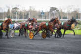 PMU - Arrivée du quinté du mardi 31 décembre à Paris-Vincennes : Halicia Bella conclut l’année en beauté