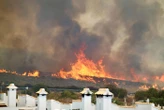 Espagne : le bilan de l’incendie en Andalousie s’alourdit à 13 morts après le décès d’une Britannique à l’hôpital