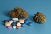 Yvelines : Cannabis, cocaïne, MDMA et ecstasy… Il cachait tout chez ses parents