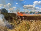 Désherbage au chalumeau le long d’un champ : un incendie ravage 5 hectares de culture dans l’Oise