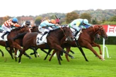 Arrivée du quinté du jeudi 16 octobre à Saint-Cloud : Narkez, dès son retour