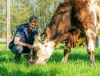 « Il y a urgence ! » : dans la tourmente, les fromages normands contre-attaquent