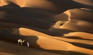50,4 degrés Celsius : une température record pour un mois de mai aux Émirats arabes unis