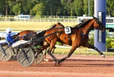 Arrivée du quinté du vendredi 26 juin à Enghien : Florida Bi comme un soleil