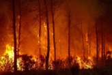 Incendie en Gironde : le feu « toujours stabilisé » après une nuit « calme », plusieurs reprises « traitées » et « sous contrôle »