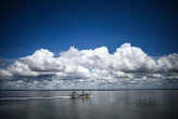 Mort d’un petit garçon, le pêcheur positif à la cocaïne... ce que l’on sait du dramatique accident sur le bassin d’Arcachon