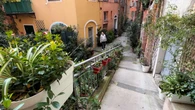 VIDÉO. À Nice, un retraité installe des centaines de plantes dans sa rue pour chasser les dealers