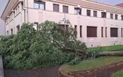 « Un véritable couloir de tempête » : dans l’Oise, un orage violent couche une trentaine d’arbres à Crépy-en-Valois